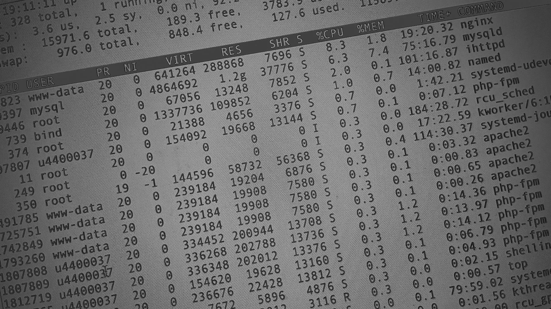 Настройка сервера в Прокопьевске