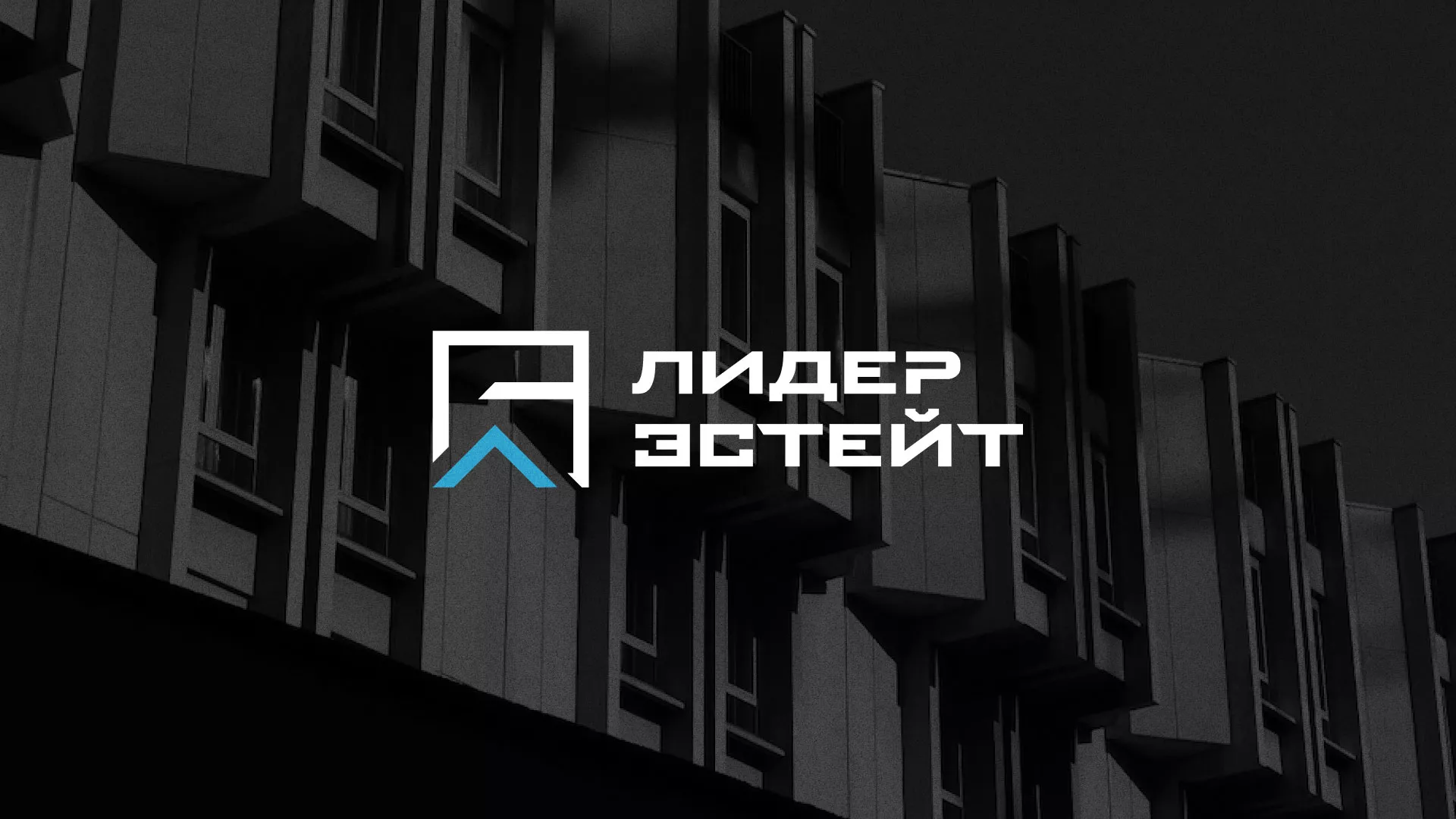 Разработка логотипа агентства недвижимости «Лидер Эстейт» в Прокопьевске